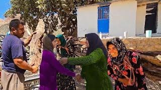 Fariba and the Ghodrat family's in collecting firewood for winter