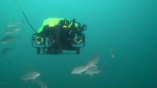 Exail - R7 Compact Observation Class ROV EOD Operations