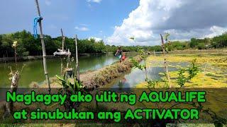 Naglagay ulit ako ng Aqualife sa palaisdaan