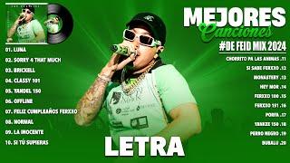 Feid 2024 (Letra/Lyrics) - Mejores Canciones de Feid - Grandes Éxitos De Feid - Mix Reggaeton 2024