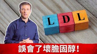 (膽固醇5)”壞”膽固醇LDL，消炎與LDL過高原因.柏格醫生 dr berg