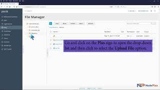 How to use File Manager in Plesk to upload files