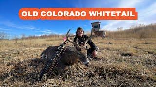 Seth Takes and Old Colorado Whitetail Buck with his Bow