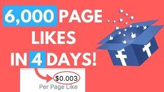 How to Get Cheap Facebook Page Likes FAST - 6000 LIKES in 4 DAYS!