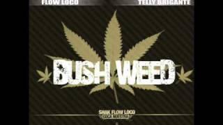Shak Flow Loco ft Biga Ranx - BushWeed