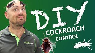 Cockroach Treatment from BUNNINGS?! (DIY Pest Control)