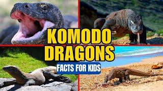 Komodo Dragons - Facts for Kids