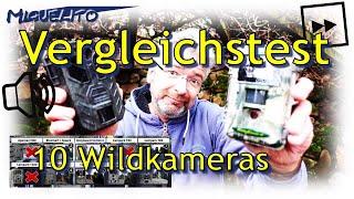  10 Wildkameras im Vergleichstest |  Auslösegeschwindigkeit und  Audio-Qualität gecheckt