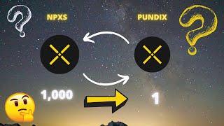 What is Pundix (NPXS) and what happened ? 