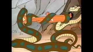 Kaa's Coils