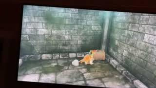 jugar the legend of zelda tears of the kindom p49