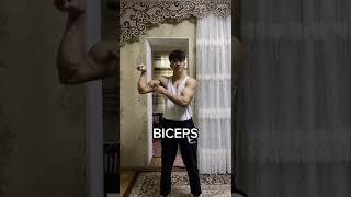 Bitseps (Biceps)