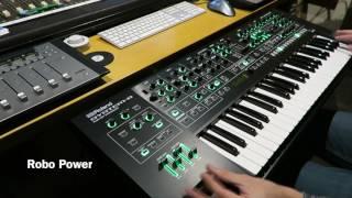 Roland System 8 - New Juno 106 Plug Out - SOUNDS & PATCHES