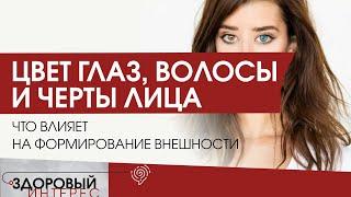 Цвет глаз, волосы и черты лица: что влияет на формирование внешности человека?