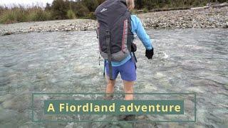 A Fiordland adventure hiking the Hollyford track and overnighting on a Doubtful Sound cruise