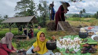 Sayang Aa Gak Ikut.. Panen Padi Sambil Munggahan Sebelum Puasa Saung Abah