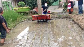 Uji coba Alat tanam Padi buatan anak Bangsa manual tapi handal