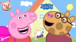 MY FRIEND PEPPA PIG - Full Gameplay