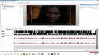 Making Professional DVDs: Part 2 - Creating DVDs with Menus and Subtitles