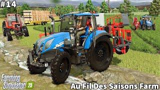 Feeding Animals, Beginning Carrot Harvest Using Fiatagri FPT│Au Fil Des Saison│FS 25│Timelapse#14