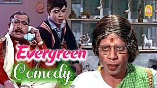 கொள்ளைக் காரி பயங்கரமான ஆளா இருக்காளே ! |Kudiyirundha Koyil HD Comedy Scene|M.G.Ramachandran|Nagesh