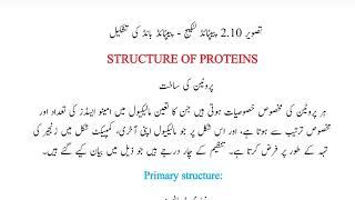 Fsc Biology Chapter 2 Structure of Proteins,Primary,Secondary ,,Quaternary  in Urdu Class 11