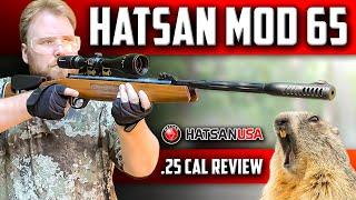 Hatsan MOD 65 Break Barrel Air Rifle REVIEW: Accuracy and Shooting Test