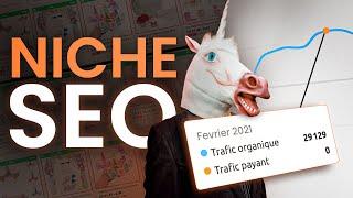 DROPSHIPPING : COMMENT TROUVER UNE NICHE SEO ? [Show #8]