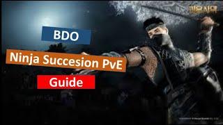 BDO - Lords Ninja Succession PvE - Guide