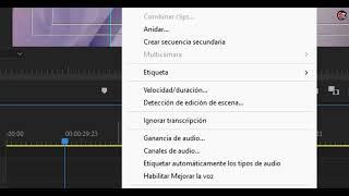 Como Ver Los CORTES De ESCENA De Un VIDEO En PREMIERE