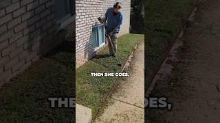 This Customer IS CRAZY! ️#lawncare #edging #shorts