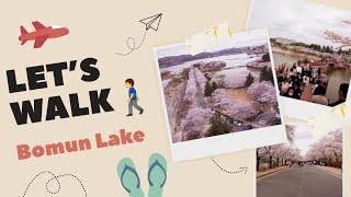 [4K] Walk in Bomun lake side| South Korea  | Gyeongju bomun lake | Cherry  Blossoms