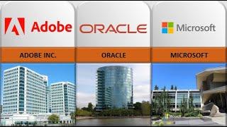 Biggest Software Companies 2023 Comparison | The largest software companies | List Of World Data