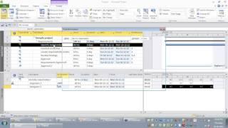 Assigning resources (people and material) and costs (fixed,variable) in Microsoft Project 2010