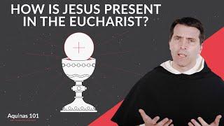 The Real Presence of Jesus Christ in the Eucharist (Aquinas 101)