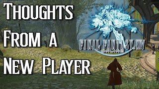 Final Fantasy XIV: More Thoughts