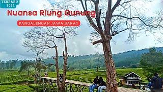 Suasana di NUANSA RIUNG GUNUNG , Pangalengan Bandung Jawa Barat Terbaru!!