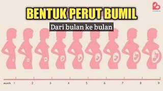 Perubahan Bentuk Perut Ibu Hamil Setiap Bulan Kehamilan