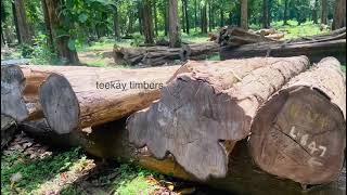 Nilambur Forest Teak Timbers @1909 plantation     #teekaytimbers                       09400800815