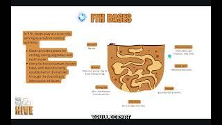 DevDiaries #2 ForTheHive - Mating, Family & Bases