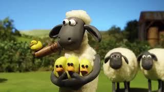 Shaun The Sheep S03E08   Hard to Swallow