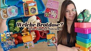 Welche Brotdose? Meine Tipps & Erfahrungen