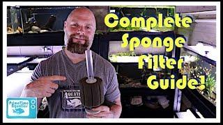 Fish Tank Sponge Filters: Everything You Need to Know! Assembly | Placement | Flow and More