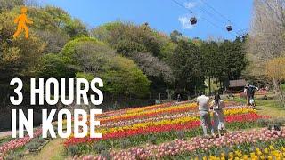 Things To Do in Kobe, Japan - a 3 Hour Walking Tour