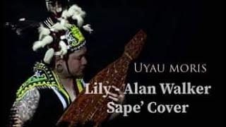 Alan Walker - Lily (Sape' Cover - Uyau Moris) Borneo Traditional Instrument