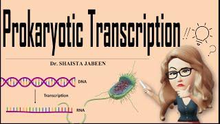 Prokaryotic Transcription I Complete Process of Transcription in Prokaryotes I Molecular Biology