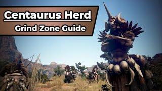 Centaurus Herd | BDO Grind Zone Guide Series