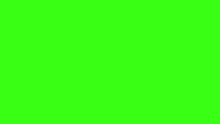 1 Hour of Neon Green Screen in 4K!