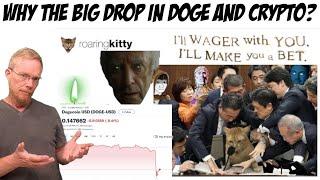 Why the Big Drop in Dogecoin and Crypto?