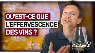 L'effervescence des vins : Comment utiliser ces 3 termes en dégustation ? (Leçon n°222)